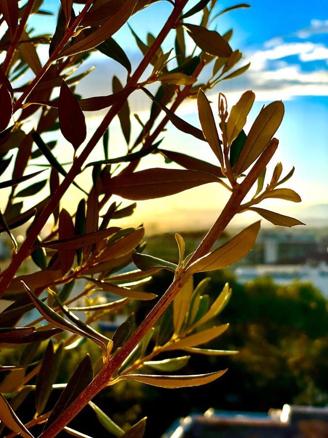 Rooftop Apartement - Quartier Croisette - Esc'Appart Cannes Exterior foto